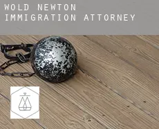 Wold Newton  immigration attorney