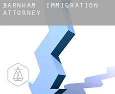 Barnham  immigration attorney