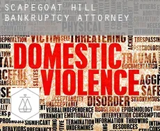 Scapegoat Hill  bankruptcy attorney